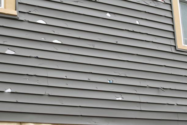 Best Dumpster Rental Services  in St Cloud, MN